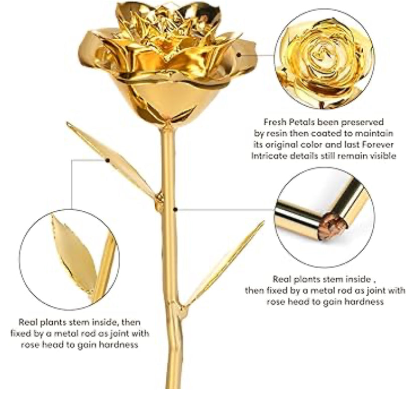 24k gold rose